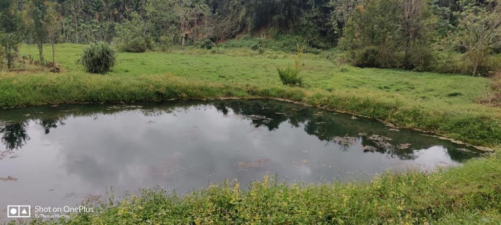 La Paz Coorg Homestay At Madikeri Town Kültér fotó